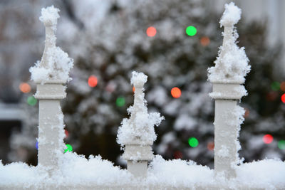 Fresh snowfall at christmas