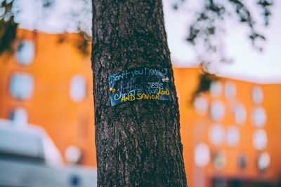 Close-up of text on tree trunk