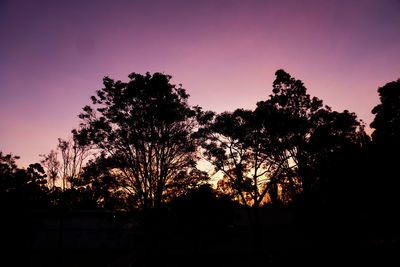 Low angle view of silhouette trees against sky at sunset