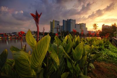 Panoramic view of buildings against sky during sunset