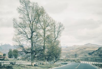 Road by trees on landscape against sky