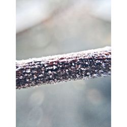 Close-up of raindrops on window