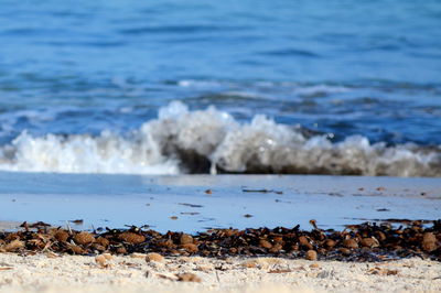 Scenic view of sea waves