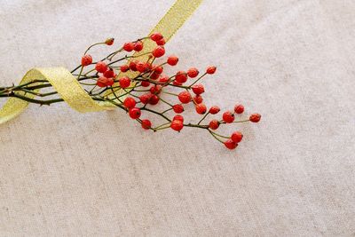 Close-up of red berries on plant