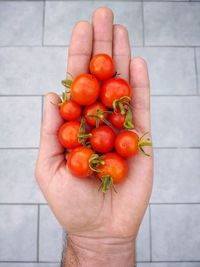 Cropped image of person holding strawberries