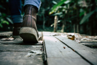 Low section of person walking on wooden floor against plants