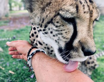 Close-up of human hand