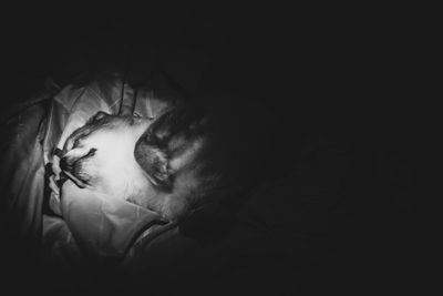 Close-up of young woman in darkroom