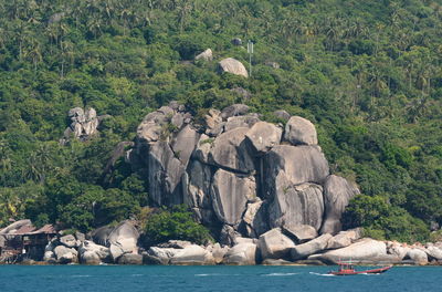 Rocks on sea shore against trees