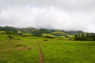 Scenic view of field against sky