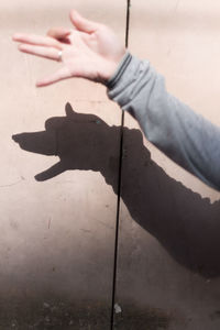 Shadow of person holding umbrella