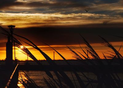 Silhouette bridge against sky during sunset