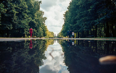 Scenic view of lake amidst trees against sky