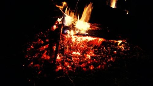 Close-up of bonfire at night