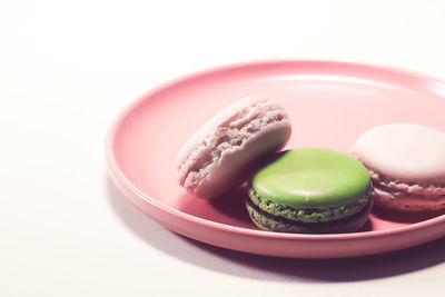 Close-up of dessert in plate against white background