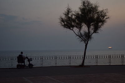 Rear view of man sitting on tree trunk