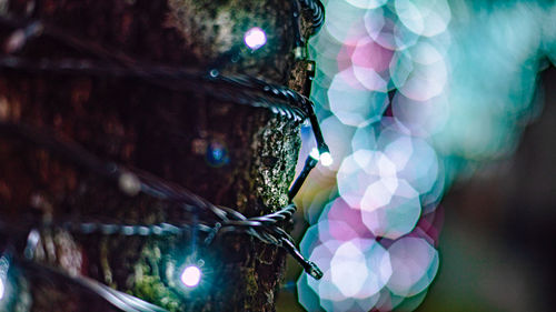 Close-up of tree trunk with illuminated lights at night