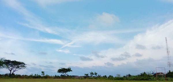Trees on field against sky
