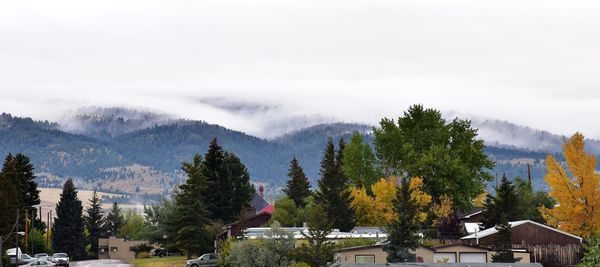 Panoramic view of trees and buildings against sky