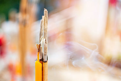 Close-up of smoke emitting from wood