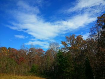 Trees on landscape against cloudy sky