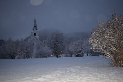 Snow covered trees and buildings against sky