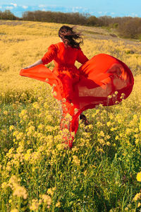 Rear view of woman standing amidst yellow flowering plants on field