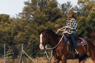 Man riding horse cart