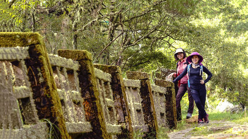 Hiking on the way