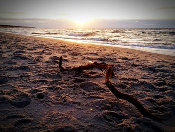 Scenic view of beach at sunset