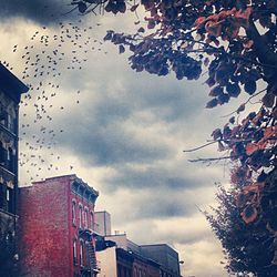 Low angle view of building against cloudy sky
