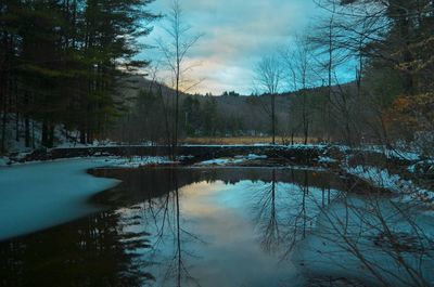 Reflection of trees in lake