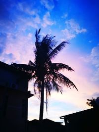 Low angle view of silhouette palm tree against sky