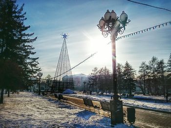 Sun shining through trees