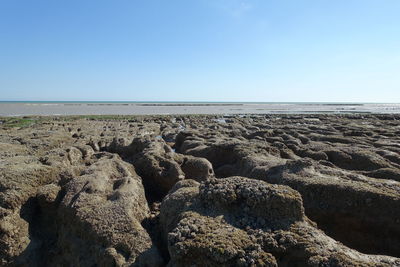 Scenic view of beach against clear blue sky