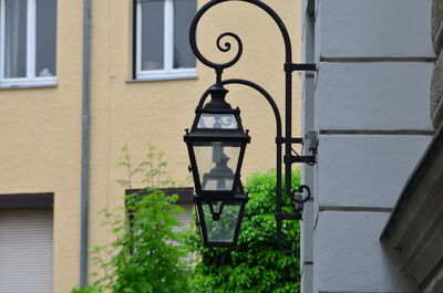 Close-up of window