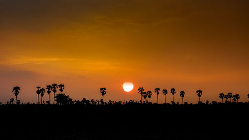 Silhouette trees on landscape against sky during sunset