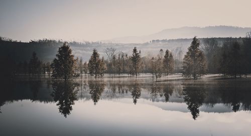 Scenic view of lake by trees against sky