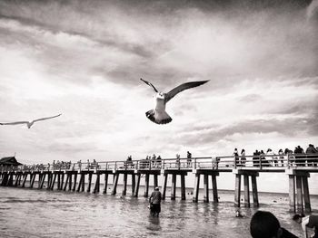 Seagull flying over sea against cloudy sky