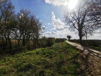 Scenic view of trees on field against sky