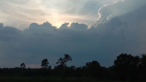 Low angle view of silhouette trees against sky