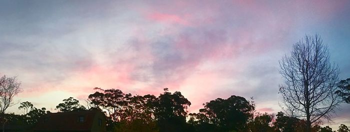Low angle view of silhouette trees against sky during sunset