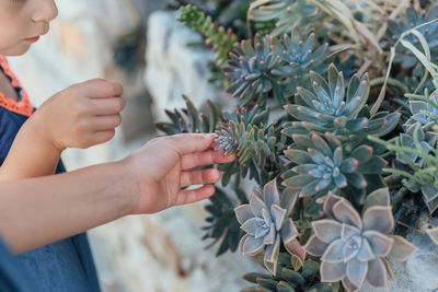 Close-up of hand holding flowering plant