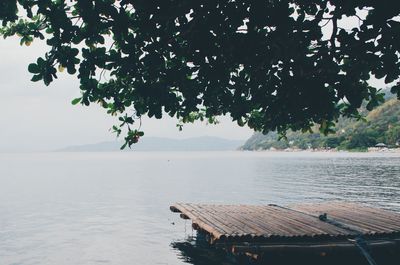 Reflection of trees in water