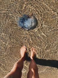 Low section of woman standing on sand at beach