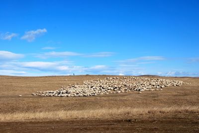 Scenic view of landscape against blue sky