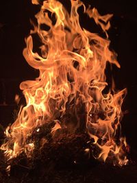 Close-up of bonfire at night