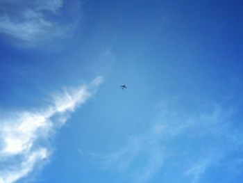 Low angle view of bird flying against blue sky