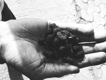 Close-up of cropped hand