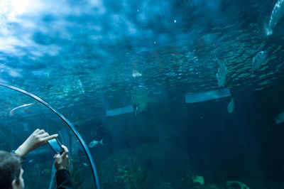 Scuba diver in sea